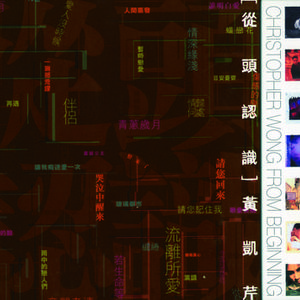 多田有花演过的电影大全
