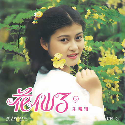 多田有花演过的电影大全
